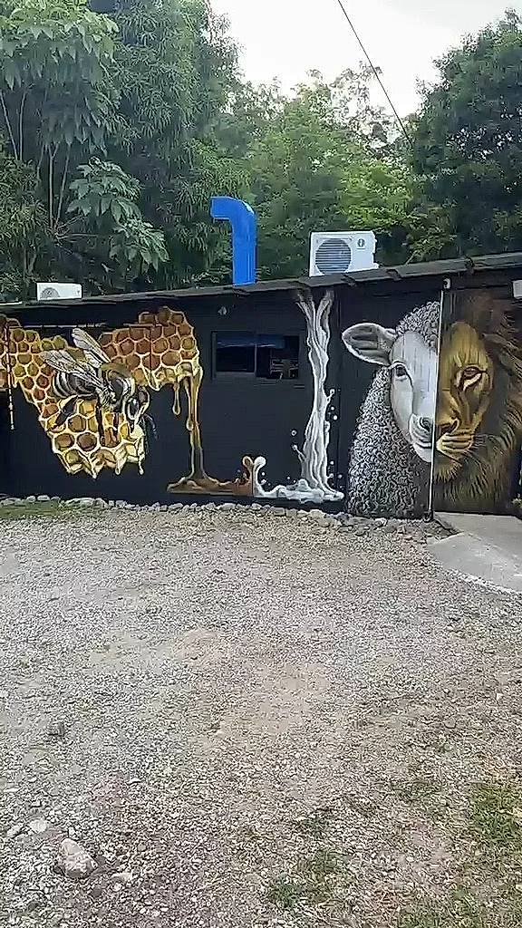 Fachada pintada de negro con un mural de abejas y panales de miel